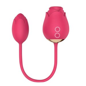 VIBRADOR SUGADOR DE CLITÓRIS RECARREGÁVEL 10 MODOS DE VIBRAÇÃO E 05 DE SUCÇÃO